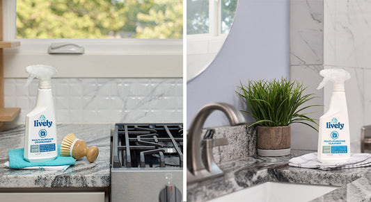 Multi-Surface Cleaner vs Degreaser: What’s the Difference? brought to you by Lively Clean