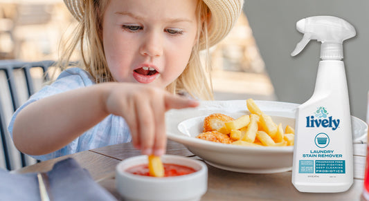 How To Remove Ketchup Stains from Shirts & Carpet with Lively Clean Products