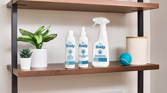 Probiotic Power: The Natural Solution for Pet Messes