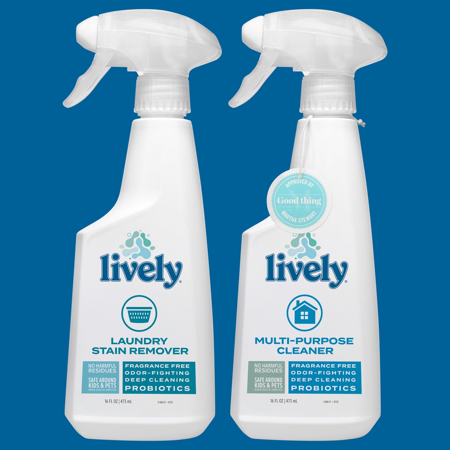 Home Cleaning & Stain Removal Bundle