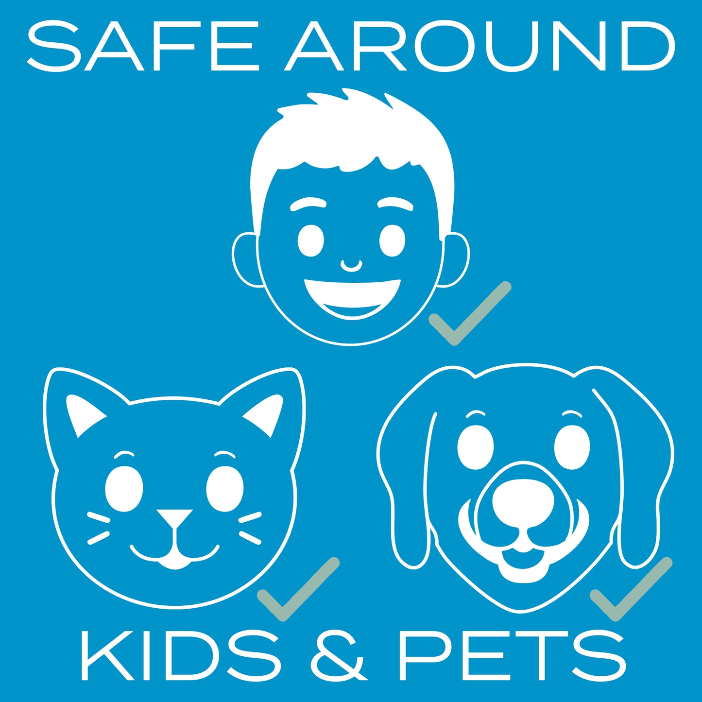 Pet Deodorizing Spray