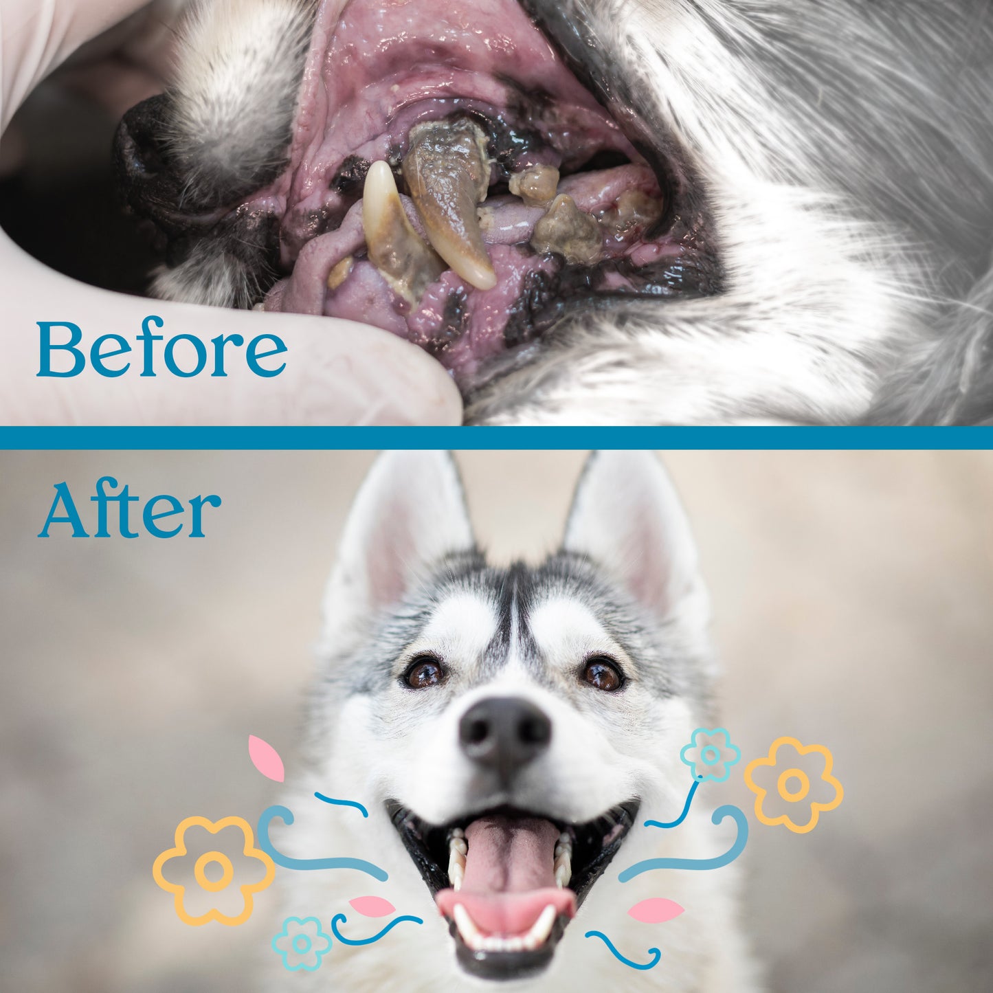Pet Breath and Dental Health Water Additive