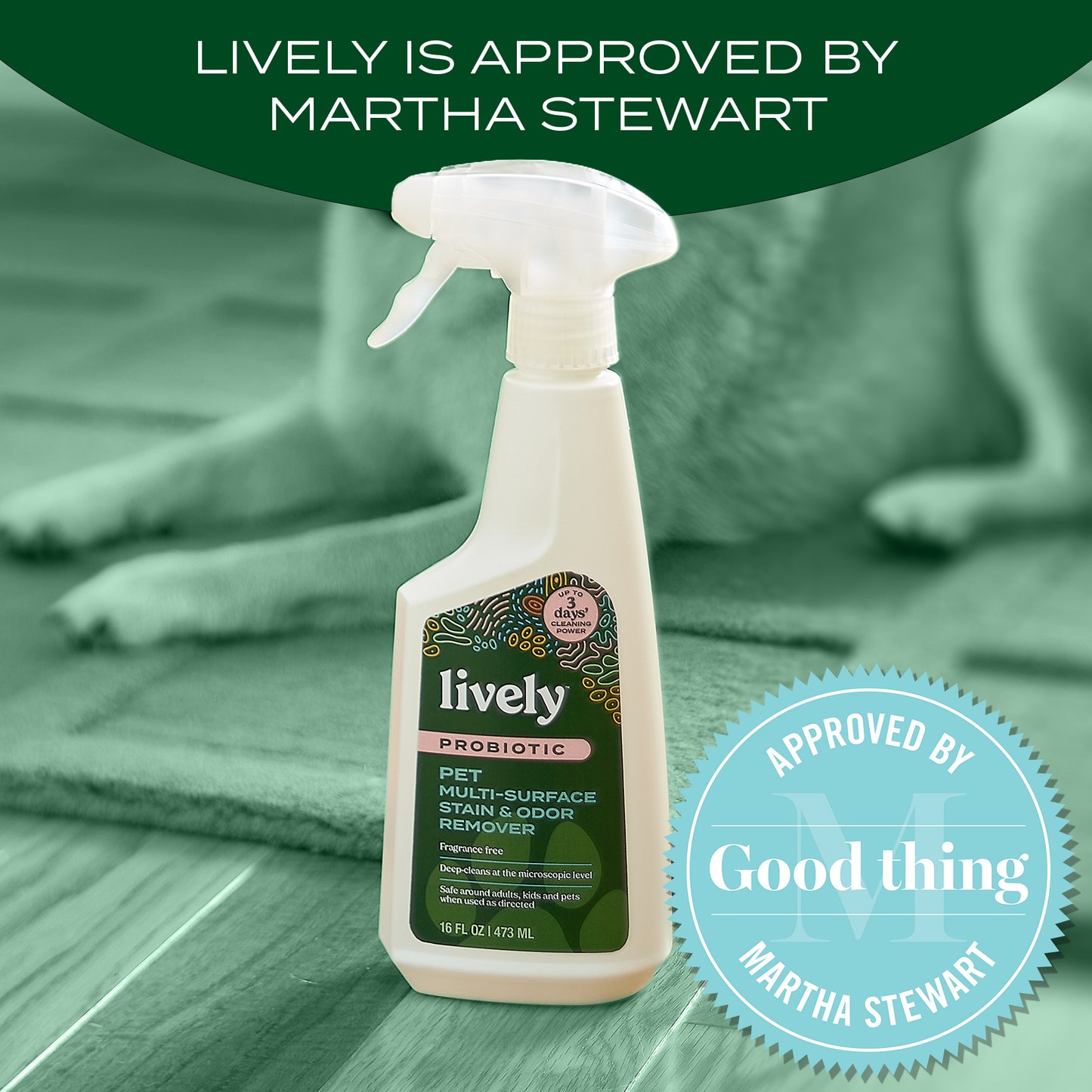 Lively Pet Multi-Surface Stain & Odor Remover