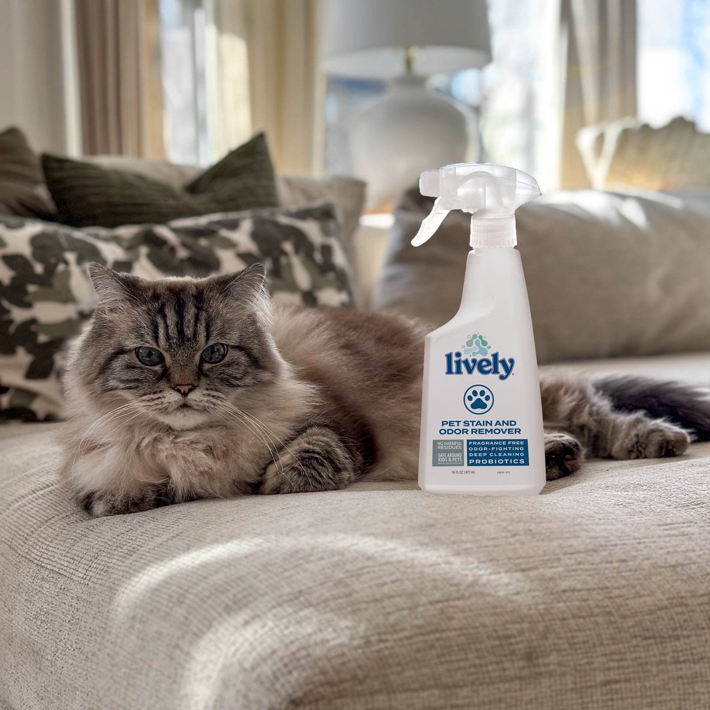 Pet Odor & Stain Defense Bundle