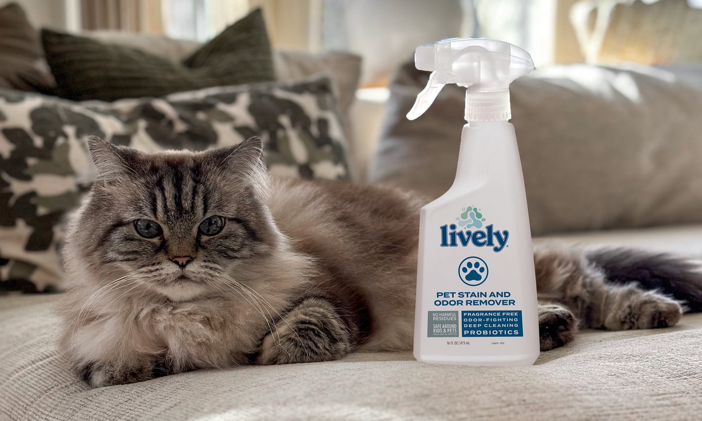 Pet Breath, Stain, and Odor Control Bundle