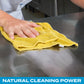 Multi-Purpose Cleaner